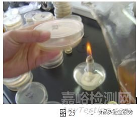 微生物取样、样品制备技巧及稀释、接种、培养方法汇总