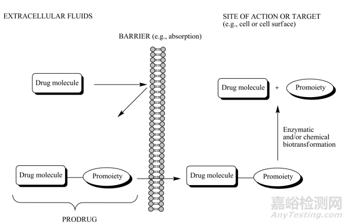 盘点前体药物技术的分类及应用