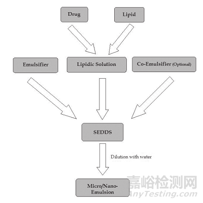 手把手教你设计自乳化给药系统