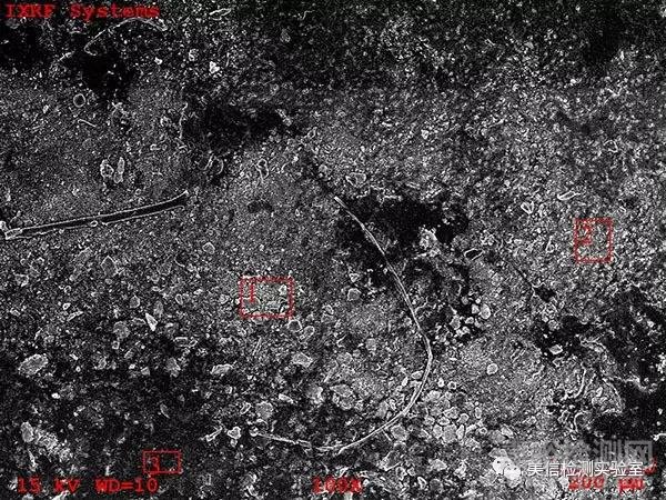 表面异物分析方法