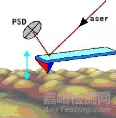 AFM的原理及应用