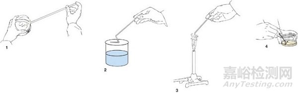 微生物检测的接种、培养、分离纯化、鉴定和保存