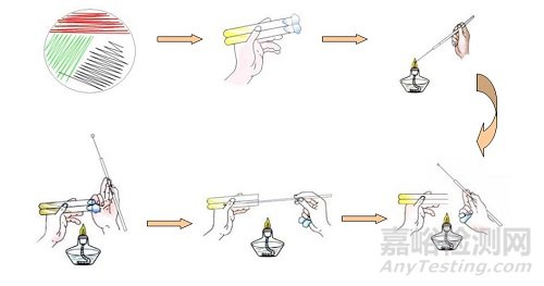 微生物检测的接种、培养、分离纯化、鉴定和保存