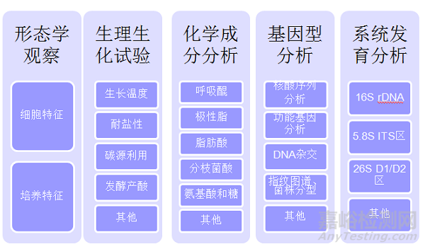 微生物检测的接种、培养、分离纯化、鉴定和保存