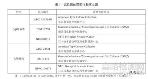 如何检测半导体光催化材料的抗病毒活性