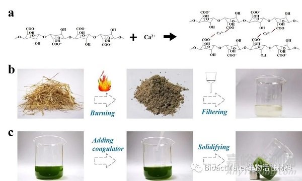 中药微针补片用于创面修复|Bioactive Materials