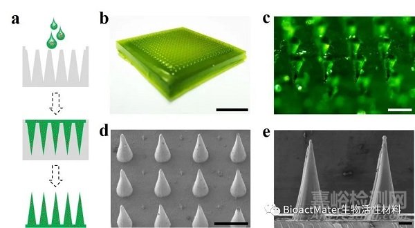 中药微针补片用于创面修复|Bioactive Materials