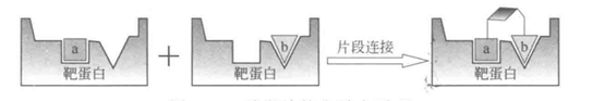 基于片段的药物设计