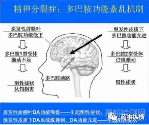 多巴胺受体靶点药物概述