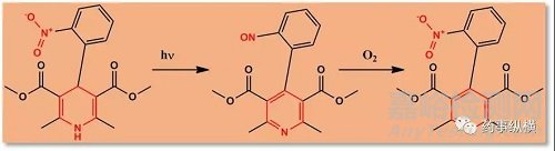 生物基质中稳定性研究那些事