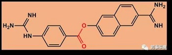 生物基质中稳定性研究那些事