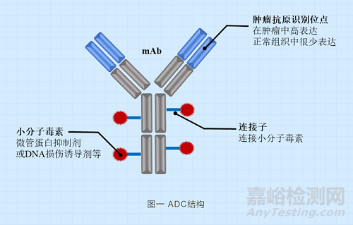 抗体偶联药物的生物分析策略