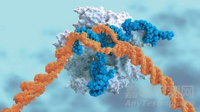 《Science》公布2021年度十大科学突破