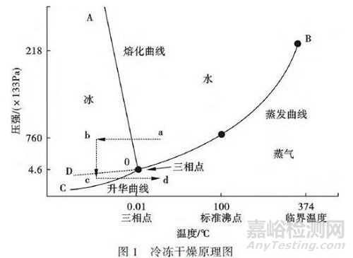 冻干技术的原理、工艺过程及常见问题