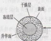 药品冻干过程中的关键因素