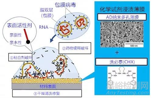 新型抗病毒涂层技术