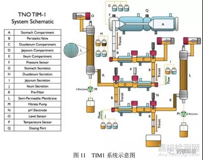 非USP标准的药物溶出方法