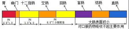 建立有区分力溶出曲线研究思路