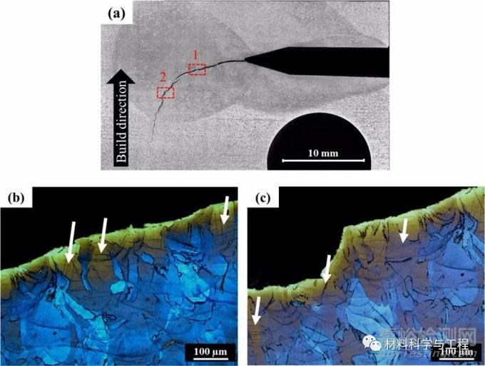 《Acta Materialia》综述：增材制造金属的断裂与疲劳！
