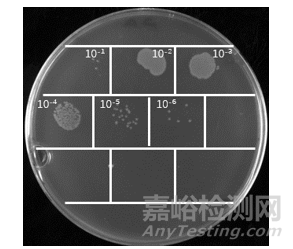 如何制备纳米抗体