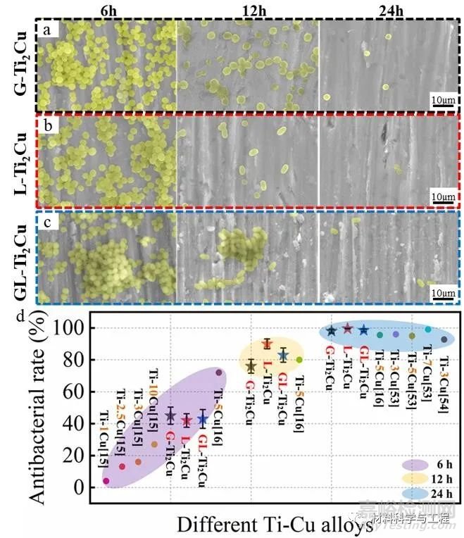 《Mater Des》：牙科用Ti-Cu合金的生物腐蚀行为和抗菌性能！