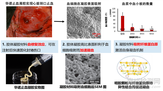 国产首款可微创应用止血凝胶临床数据披露，对标进口产品，即将打破垄断