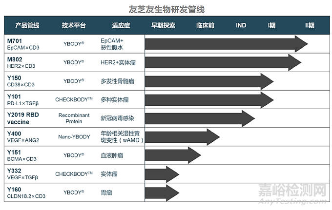 1+1＞2，双特异性抗体的最新研究进展