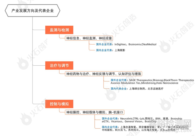 脑科学领域发展简析