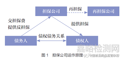 药品上市许可持有人责任承担能力的模式辨析