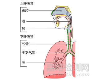 呼吸道病原体诊断行业发展概况