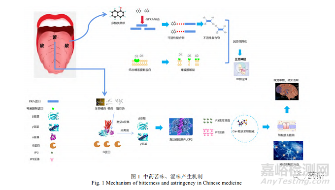 创新儿童中药制剂的造粒掩味关键技术研究概况