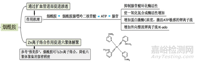 胰岛素药物作用机制-以门冬胰岛素和德谷胰岛素为例