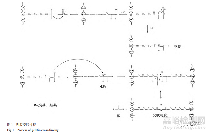 软胶囊崩解迟缓问题及评测方法的研究进展