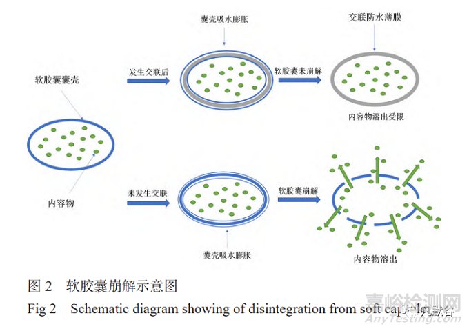 软胶囊崩解迟缓问题及评测方法的研究进展