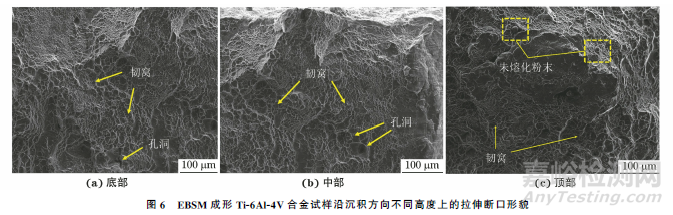 电子束选区熔化成形Ti-6Al-4V合金不同沉积高度上的组织与性能