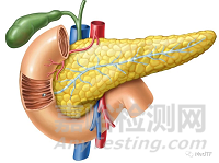 天然人工胰腺 实现胰岛素自我制造和释放