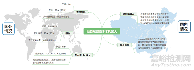 经自然腔道手术机器人行业研究报告