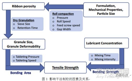 干法制粒可压性损失机制与条带的表征