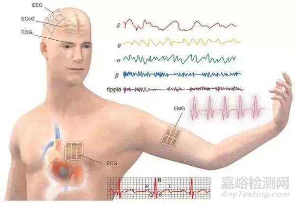 一类新型3D打印柔性生物电子器件的纳米工程墨水