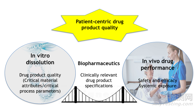 难溶性药物体内体外相关性的破解之道