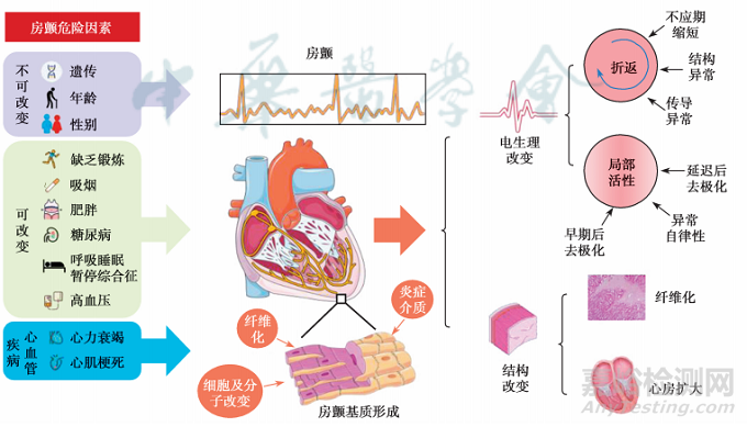 标测导管类医疗器械技术与专利分析