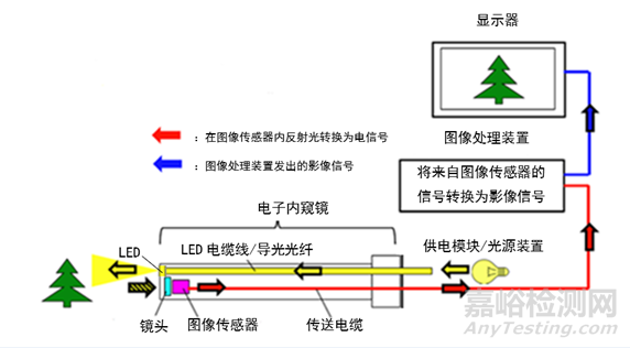 江苏省电子泌尿系统内窥镜技术审评要点