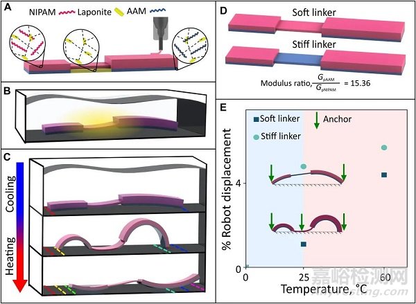 Science子刊：自由爬行的水凝胶机器人