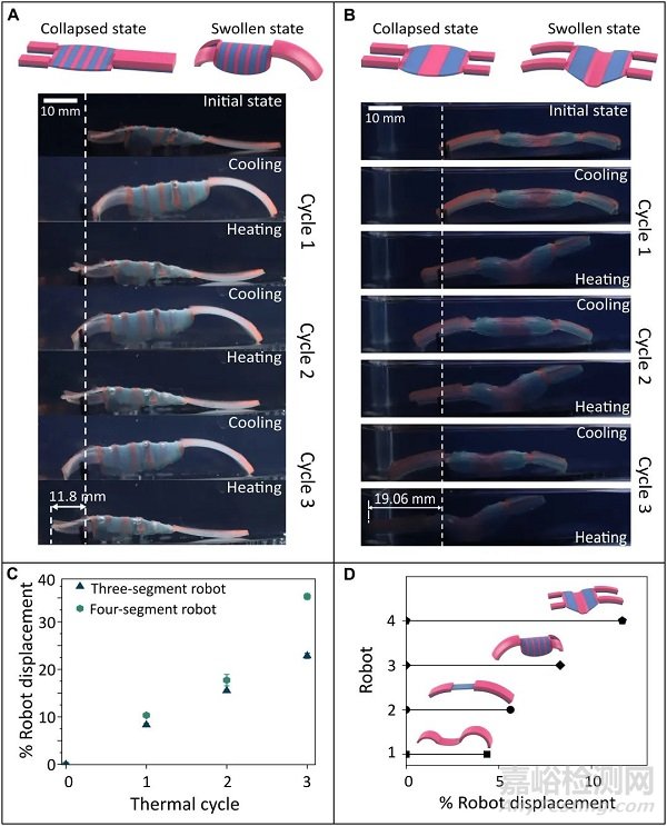 Science子刊：自由爬行的水凝胶机器人