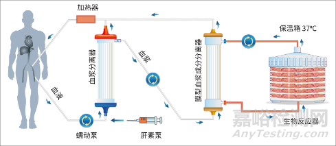 生物型人工肝目前的技术难点