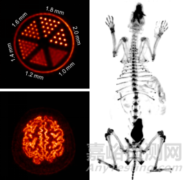 中科院先进院发布首台高清晰磁兼容脑PET功能成像仪器
