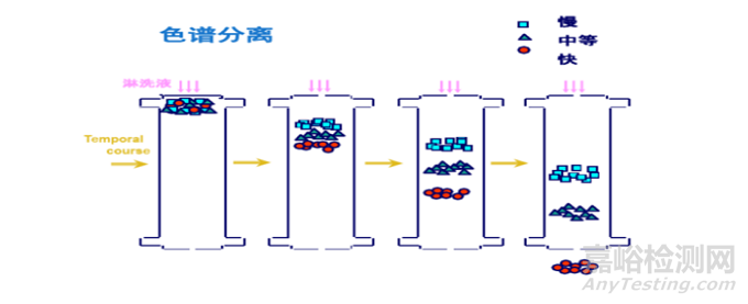 5步掌握离子色谱知识锦囊！