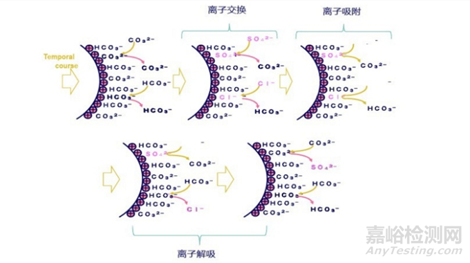 5步掌握离子色谱知识锦囊！